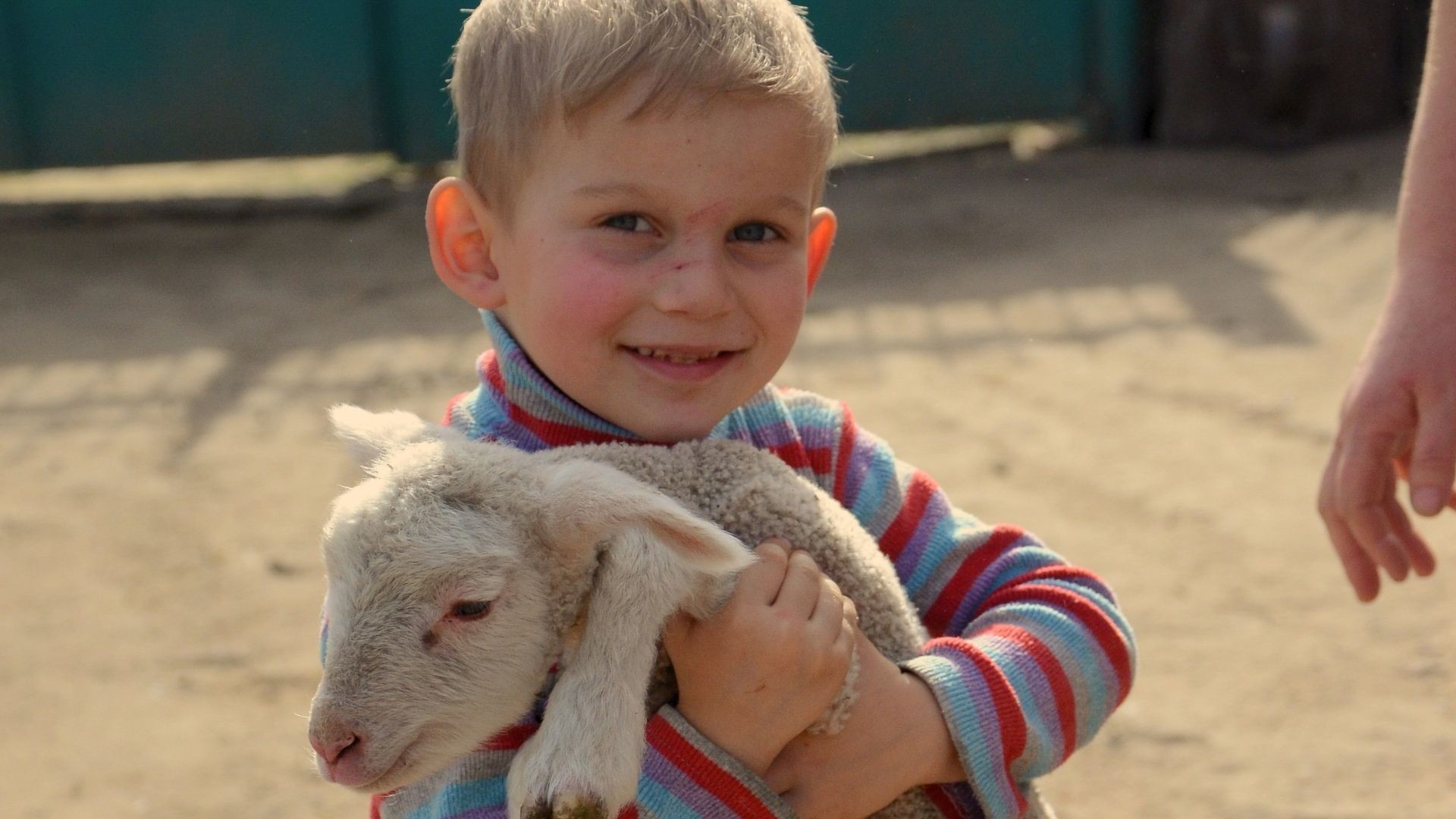 Young boy holding a small lamb