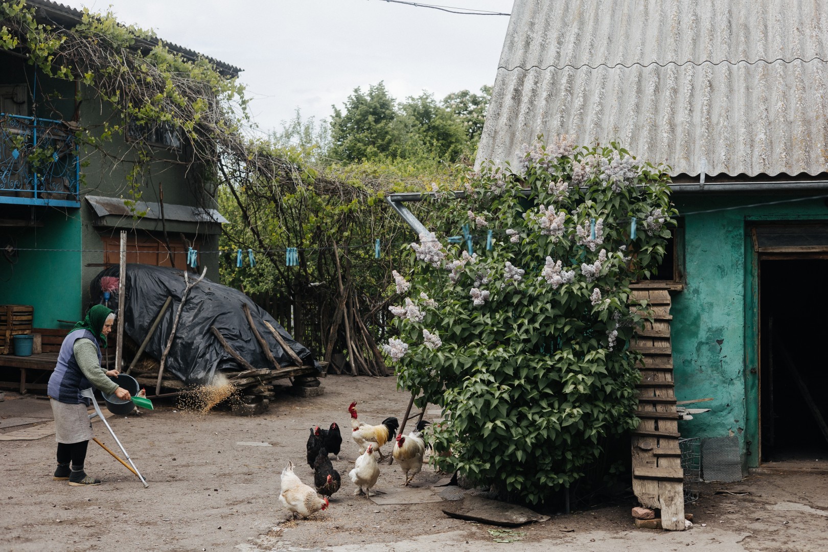 Nadiya in her backyard with chickens